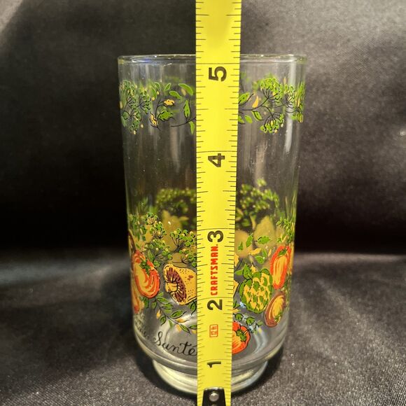 Set of 5 VTG Drinking Glass Bonne Sante / Spice of Life Libbey France Great Con. - Picture 8 of 10